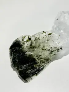 squid game korean lunch box