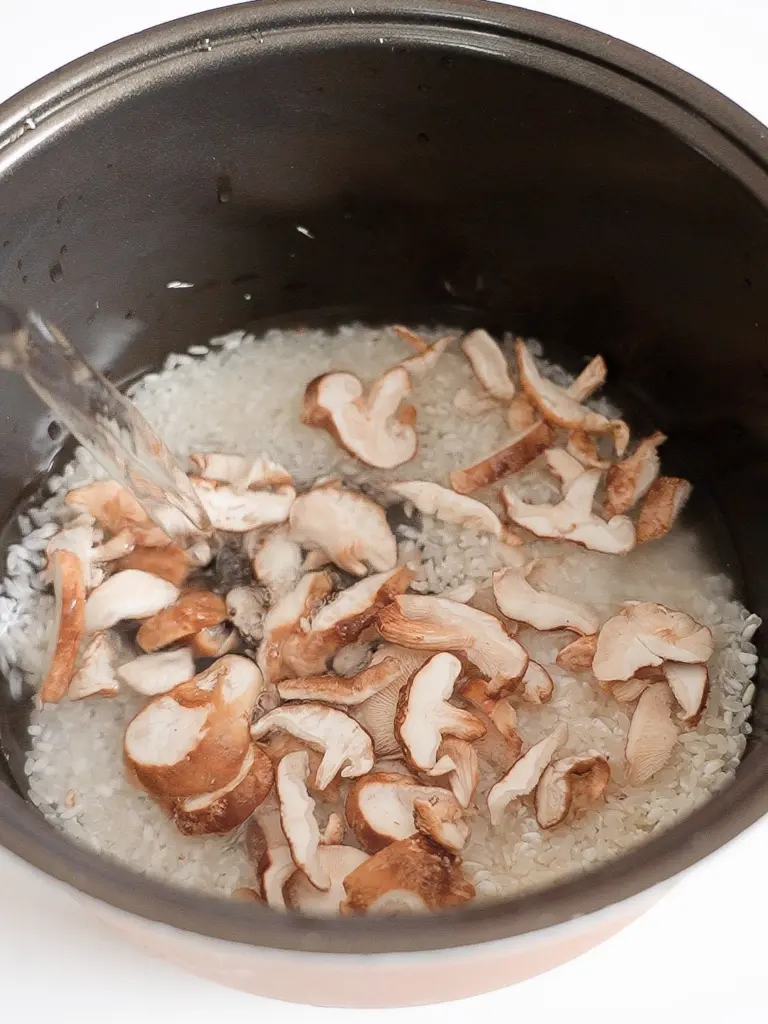 salmon pot rice