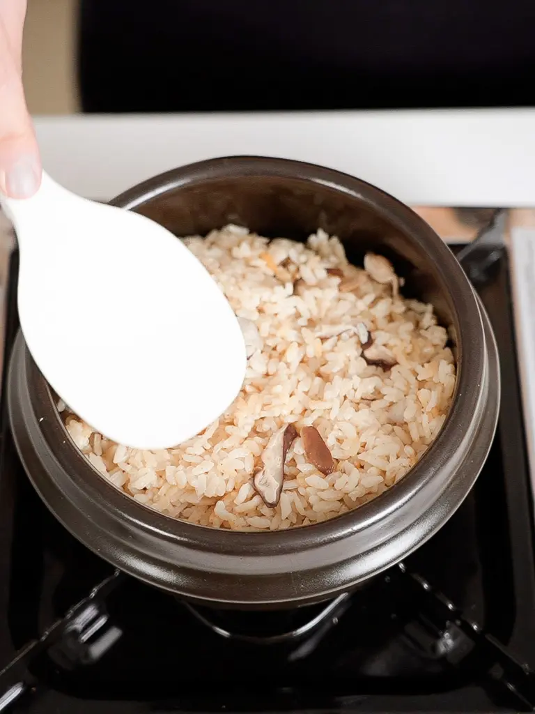 salmon pot rice