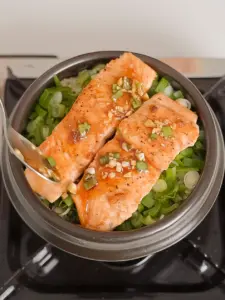 salmon pot rice