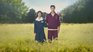 when life gives you tangerines