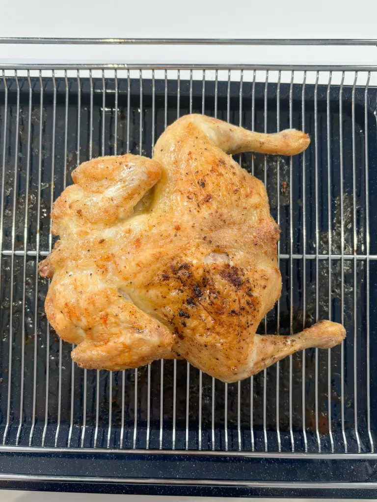corn cheese chicken