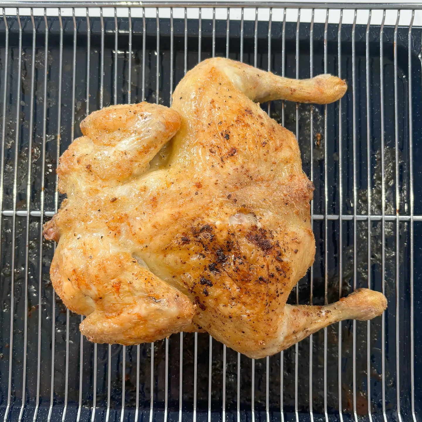 corn cheese chicken