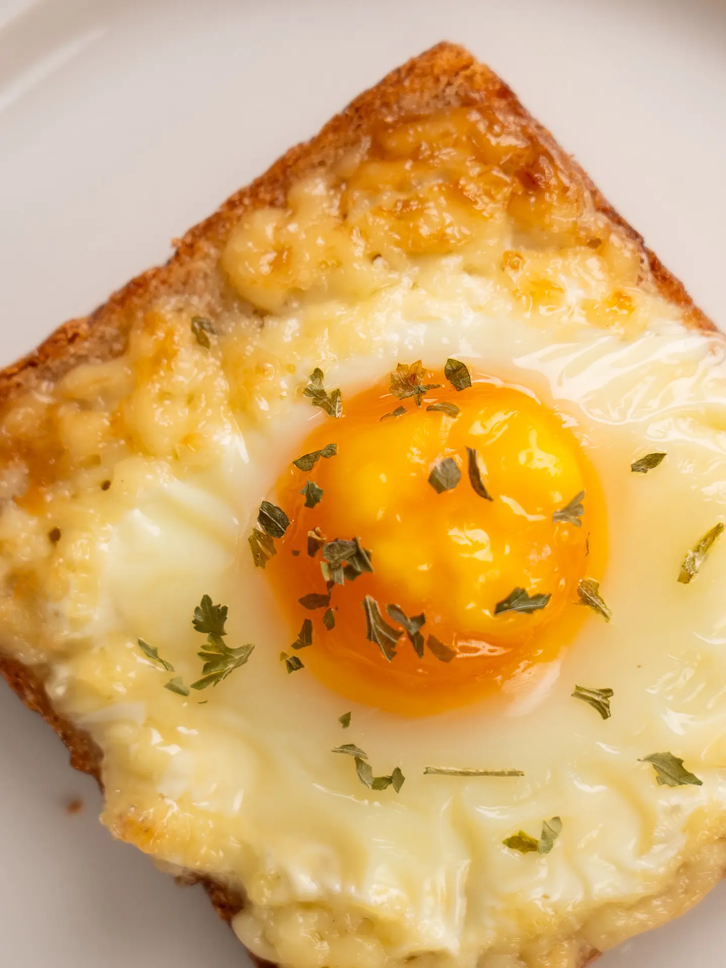 mayak toast