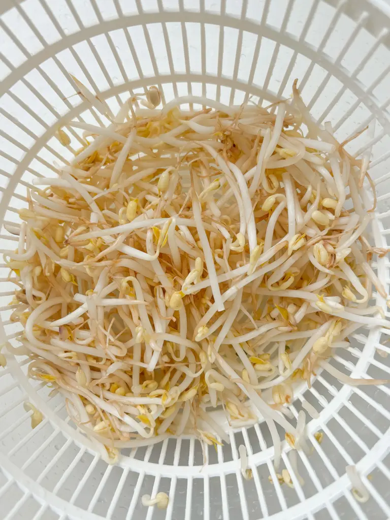 Kongnamul Bibimbap: Quick Microwave Bibimbap with Soybean Sprouts kongnamul bibimbap