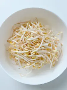 kongnamul bibimbap