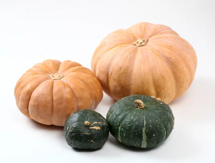 Korean Pumpkin Porridge to Reduce Bloating: Hobakjuk Korean Pumpkin Porridge to Reduce Bloating: Hobakjuk