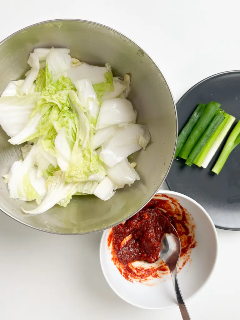Non-Fermented Geotjeori Kimchi: The Quickest Easy Homemade Cabbage Kimchi geotjeori, fresh kimchi