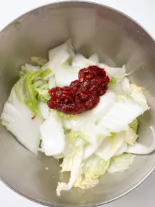 geotjeori, fresh kimchi