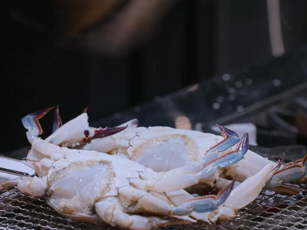 Culinary Class Wars Season 2 Episode 4, Culinary Class Wars 2 Recipes, Culinary Class Wars Season 2 Cast