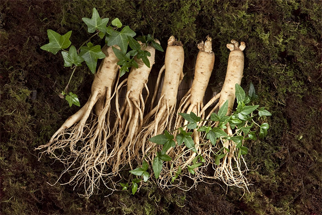 Ginseng: Korean Foods That Prevent Wrinkles