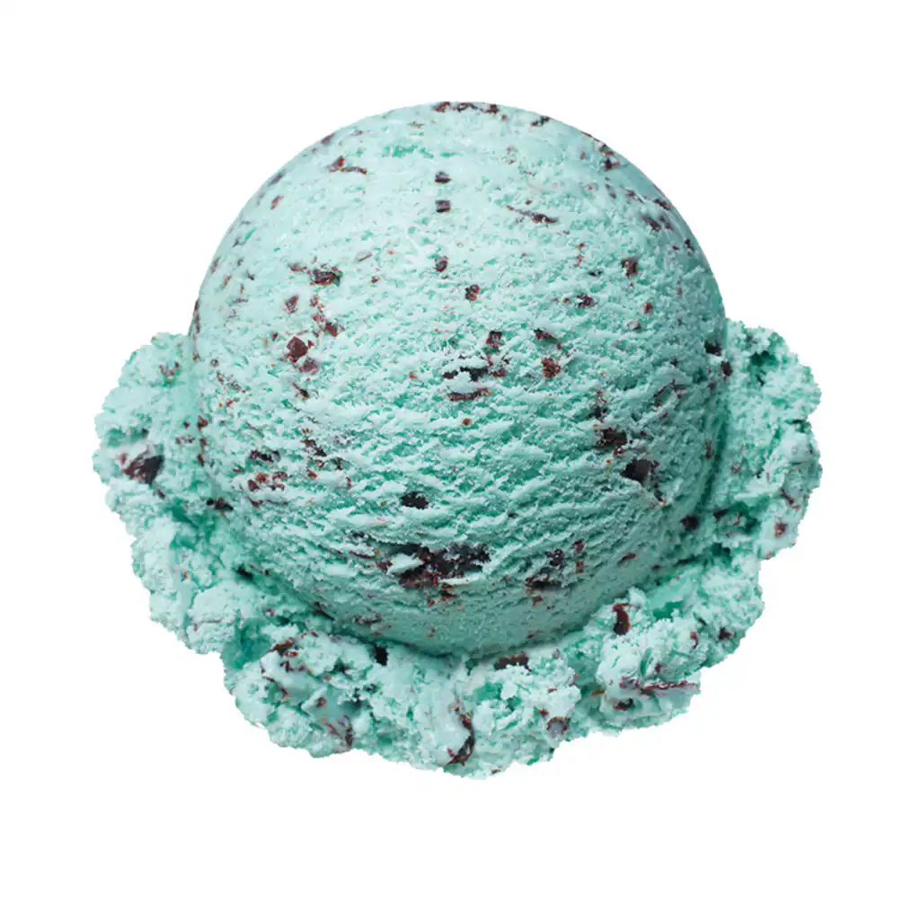 San's favorite ice cream is mint chocolate: 10 Choi San favorite food