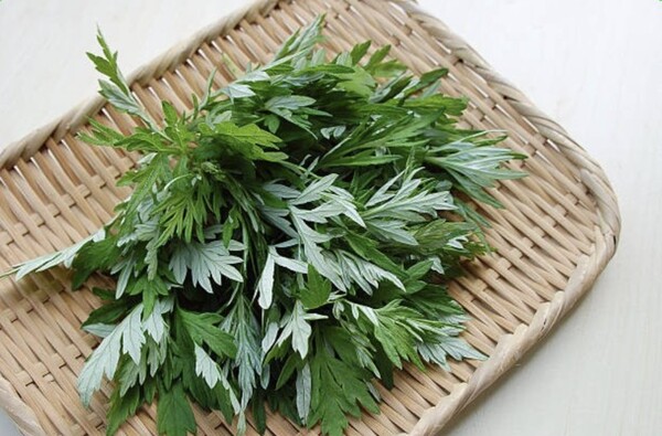 Korean Mugwort Latte: Easy Caffeine-Free Cream Ssuk Latte Korean Mugwort Latte: Easy Caffeine-Free Cream Ssuk Latte